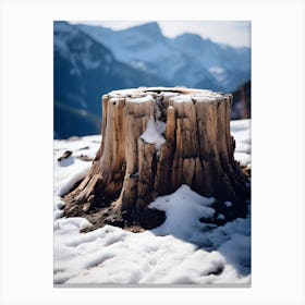 Tree Stump In The Snow Canvas Print