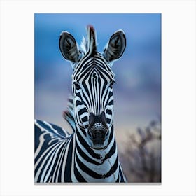 Zebra 1 Canvas Print