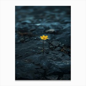 Single Yellow Flower In Water Canvas Print