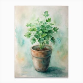 Parsley In A Pot 1 Canvas Print