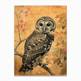 Spotted Owl Japanese Painting 3 Canvas Print