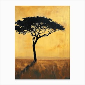 Acacia Tree, Africa Canvas Print