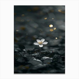 White Flower In Water Canvas Print