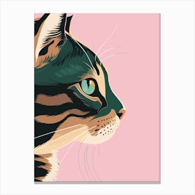 Cats Eye Canvas Print