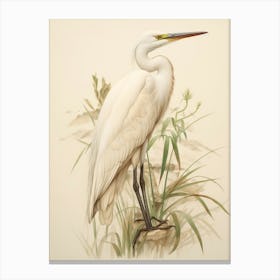 Vintage Bird Drawing Egret 1 Canvas Print