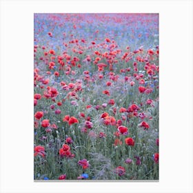 Poppy Seed Heaven Canvas Print