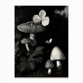 Dark Gothic Mushrooms And Butterflies Canvas Print