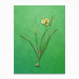 Vintage Gladiolus Lineatus Botanical Art on Classic Green n.1214 Canvas Print
