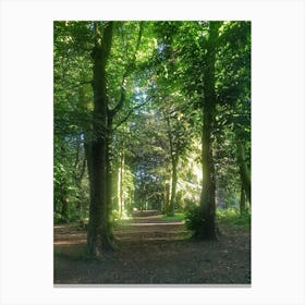 Path In The Woods Canvas Print