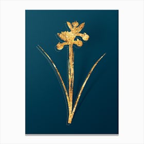 Vintage Spanish Iris Botanical in Gold on Teal Blue n.0329 Canvas Print