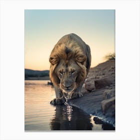 African Lion Drinking Water Realism 1 Canvas Print