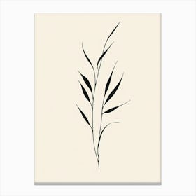 Leaf Of Grass Canvas Print