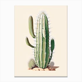 Trichocereus Cactus Marker Art 1 Canvas Print