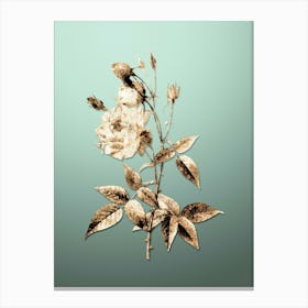 Gold Botanical Common Rose of India on Mint Green n.0039 Canvas Print
