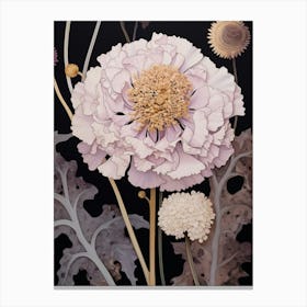 Flower Illustration Scabiosa 1 Canvas Print