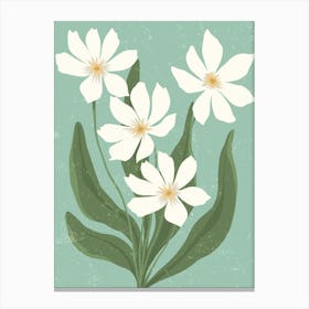 White Flowers On A Green Background Canvas Print