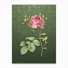 Vintage Pink Cumberland Rose Botanical on Lunar Green Pattern n.2158 Canvas Print