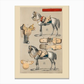 Horse Saddles Canvas Print