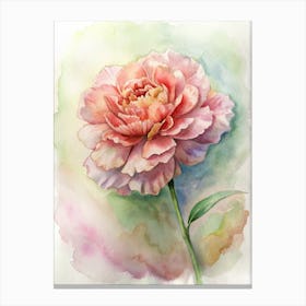 Watercolor Peony Canvas Print