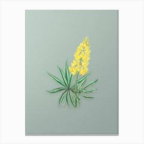 Vintage Yellow Perennial Lupine Flower Botanical Art on Mint Green n.0470 Canvas Print