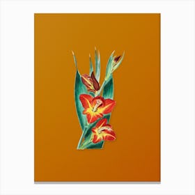 Vintage Parrot Gladiole Flower Botanical on Sunset Orange n.0088 Canvas Print