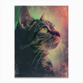 Polaroid Style Cat Portrait 3 Canvas Print