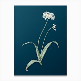 Vintage Spring Garlic Botanical Art on Teal Blue n.0335 Canvas Print