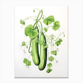 Cucumber plant Canvas Print