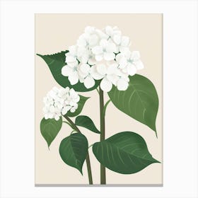 Hydrangea 12 Canvas Print