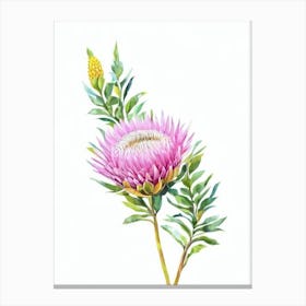 Proteas Watercolour Flower Canvas Print