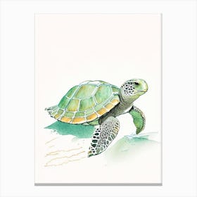 Conservation Sea Turtle, Sea Turtle Pencil Illustration 3 Canvas Print