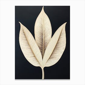 Compound Leaf Canvas Print