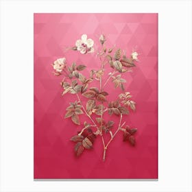 Vintage Pink Flowering Rosebush Botanical in Gold on Viva Magenta n.0353 Canvas Print