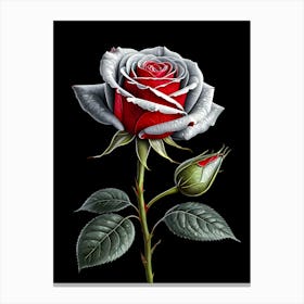 Roses On Black Background Canvas Print