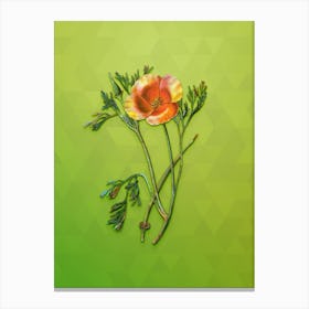 Vintage Saffron Colored Eschscholzia Botanical Art on Love Bird Green n.0379 Canvas Print