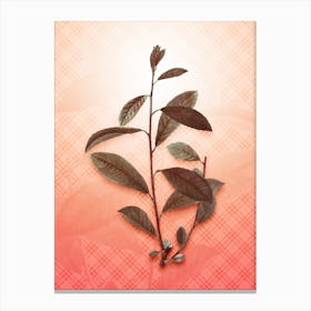 Grey Willow Vintage Botanical in Peach Fuzz Tartan Plaid Pattern n.0067 Canvas Print
