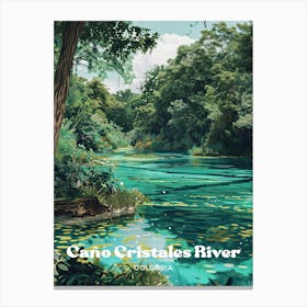 Cano Cristales River Colombia Art Illustration Canvas Print