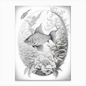 Kawarimono Kujaku Koi Fish Haeckel Style Illustastration Canvas Print