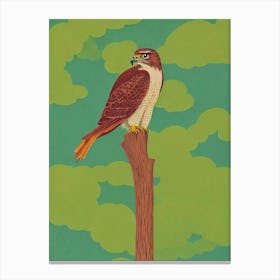 Red Tailed Hawk Midcentury Illustration Bird Canvas Print