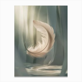 Feather In The Wind Canvas Print