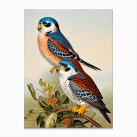American Kestrel James Audubon Vintage Style Bird Canvas Print