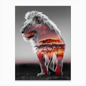 Lion In The Sunset Canvas Print