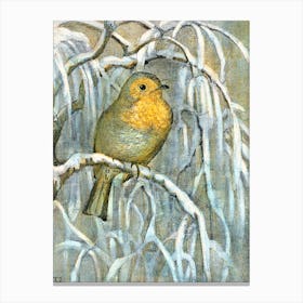 Robin In The Snow 2 Canvas Print