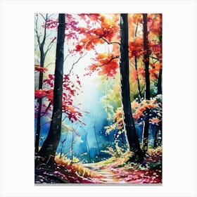 Autumn Forest 11 Canvas Print