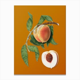 Vintage Peach Botanical on Sunset Orange n.0158 Canvas Print
