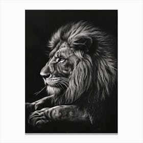 Barbary Lion Charcoal Drawing Symbolic Imagery 1 Canvas Print