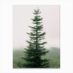 Single Tree Canvas Print