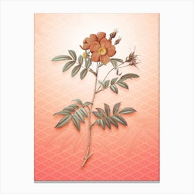 Rosa Redutea Glauca Vintage Botanical in Peach Fuzz Hishi Diamond Pattern n.0120 Canvas Print