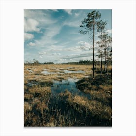 Nature In Swedish Lapland Canvas Print