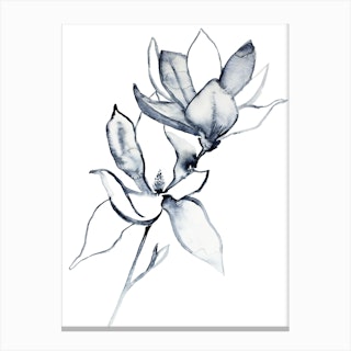 Magnolia 32 Canvas Print